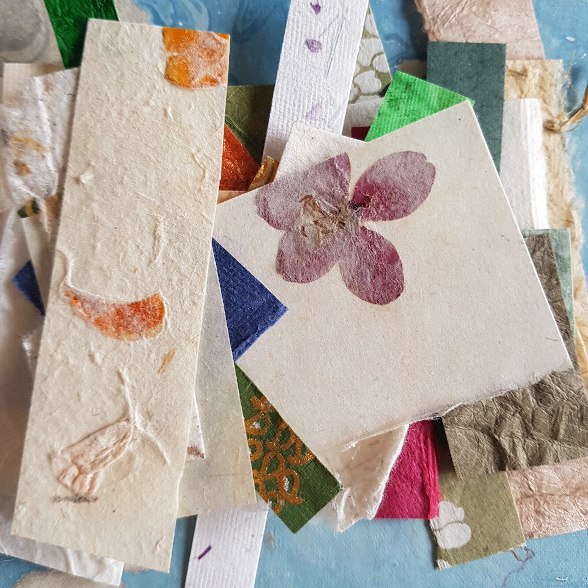 Ontdekkingstocht – week 23